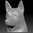 4.jpg German Shepherd head for 3D printing