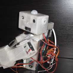IMG_1738_display_large.jpg Free 3D file Howme the robot・3D print object to download