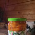 20240427_150953.jpg Piege frelon asiatique gratuit bocal, bidon, boite, T082 T063 TO58 economique