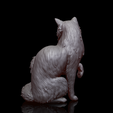 cat.3.png Cat