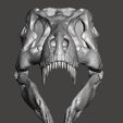 t-rex skull1.jpg T rex skull