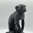 IMG_1008.jpeg Low Poly monkey