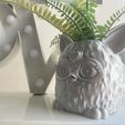 IMG_9009.jpg FURBY PLANTER