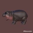 angry-side.jpg BABY HIPPO, MOO DENG