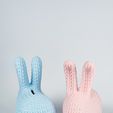 IMG_3702.jpg Troy Rabbit Knitted 🐰✨ (Container + Piggy Bank Version), Easter Design