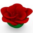 rosa-2.jpg Valentine's rose