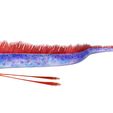 FF.jpg DOWNLOAD Hairtail DOWNLOAD FISH DINOSAUR DINOSAUR Hairtail FISH 3D MODEL ANIMATED - BLENDER - 3DS MAX - CINEMA 4D - FBX - MAYA - UNITY - UNREAL - OBJ -  Hairtail FISH DINOSAUR