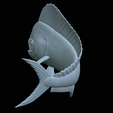 mahi-mahi-model-1-47.png fish mahi mahi / common dolphin trophy statue detailed texture for 3d printing