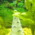 IMG_20251205_212753165.jpg 🐟 Uno sguardo alla Grotta del Cono