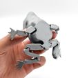 IMG_4332.jpg Batman Flexi Toad Frog articulated print-in-place no supports