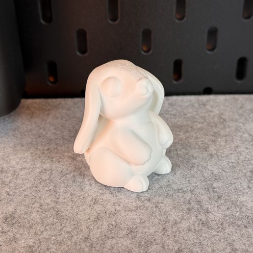 IMG_7166.jpg Conejito lindo