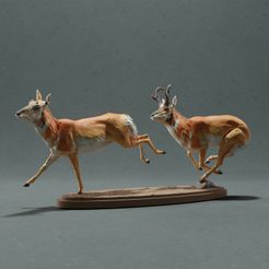 pronghorn_chase_1.jpg STL file Pronghorn Antelope - Chase・Template to download and 3D print, AnimalDenMiniatures
