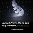 lptaf5.png Jointed Print in Place Low Poly Trilobite : Articulated Fossils