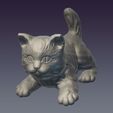 Cat_01.jpg Decorative cat 3D print model