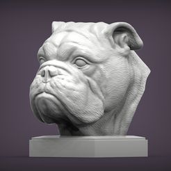English-bulldog2.jpg Файл 3D English bulldog 3D print model・Модель для загрузки и 3D печати