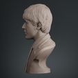 003.jpg Paul McCartney 3D print model