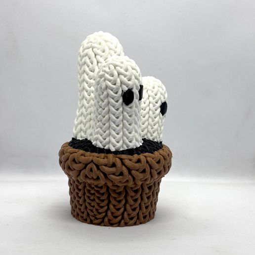 KGP-2.jpeg Knitted Ghost Plant