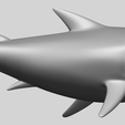 11_TDA0486_SharkA06.png Shark