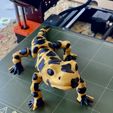IMG_4767.jpg Movable figure of the salamander toy / print in place body