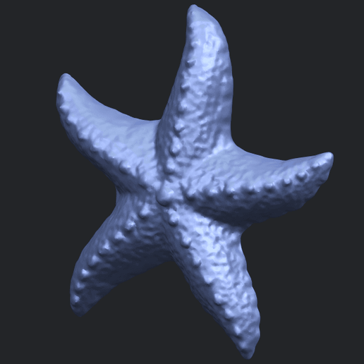 10_TDA0609_Starfish_03B02.png -Datei Starfish 03 kostenlos herunterladen • Objekt zum 3D-Drucken, GeorgesNikkei