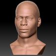 2.jpg Nelly bust for 3D printing