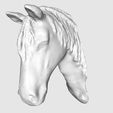 HorseHead_03_display_large.jpg Horse Head