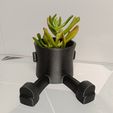 Plant pots Jarron pot plants indoor Maceta, Macetero hanging-planter