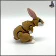 Picture5.png Cute articulated Rabbit 🐇