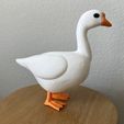 IMG_6969.jpeg 8inch Porch Goose, Desk Goose, Companion Buddy, Outdoor & Indoor statue, Yard Art, Cute and Funny Goose Gift - COMMERCIAL LICENSE!!