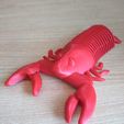 WhatsApp-Image-2021-09-13-at-11.19.53-AM.jpeg Flexi Sea Lobster