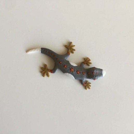 Multi Color Gecko - 3D model önizlemesi