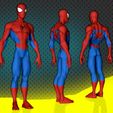 Spiderman Anatomy 3.jpg Spiderman Anatomy