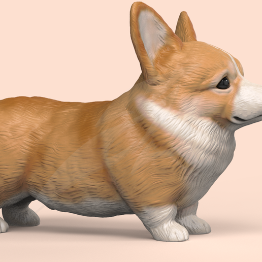 cg03.png Cute Corgi STL and VRML