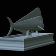 Base-mahi-mahi-31.png fish mahi mahi / common dolphin fish statue detailed texture for 3d printing