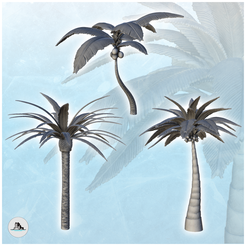 0.png Archivo STL Set de 3 palmeras y cocoteros tropicales (3) - Pirate Jungle Island Beach Piracy Caribbean Medieval・Objeto de impresión 3D para descargar