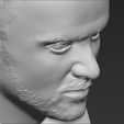 jesse-pinkman-breaking-bad-bust-ready-for-full-color-3d-printing-3d-model-obj-stl-wrl-wrz-mtl (42).jpg Jesse Pinkman Breaking Bad bust ready for full color 3D printing