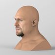 untitled.184.jpg Stone Cold Steve Austin bust ready for full color 3D printing