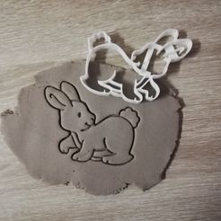 IMG_20190324_101742.jpg Fichier STL Pâques Bunny Cookie Cutter lapin・Modèle pour impression 3D à télécharger