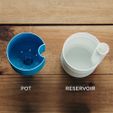 IMG_7778.jpg Self-Watering Planter (Small)