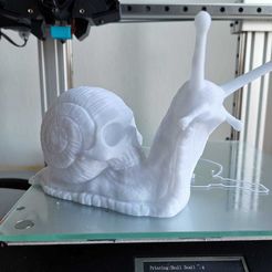 87111524_1048979905467885_4570453177039585280_o.jpg Free 3D file Skull Snail・3D printing design to download