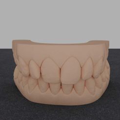 a.jpg STL file Dental model・Design to download and 3D print