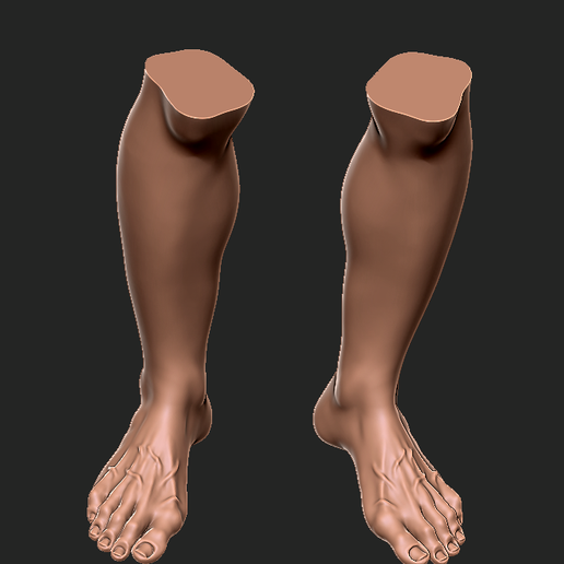 Znimok-iekrana-2025-04-02-134625.png Realistic Human Legs and Feet 3D Model