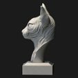 3.jpg Sphynx Cat Sculpted -  NO SUPPORTS