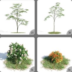 EbTw5az4.jpeg Archivo 3D Árbol verde y la planta de la maceta de flores 3D Home Modelo 29-32・Plan de impresora 3D para descargar