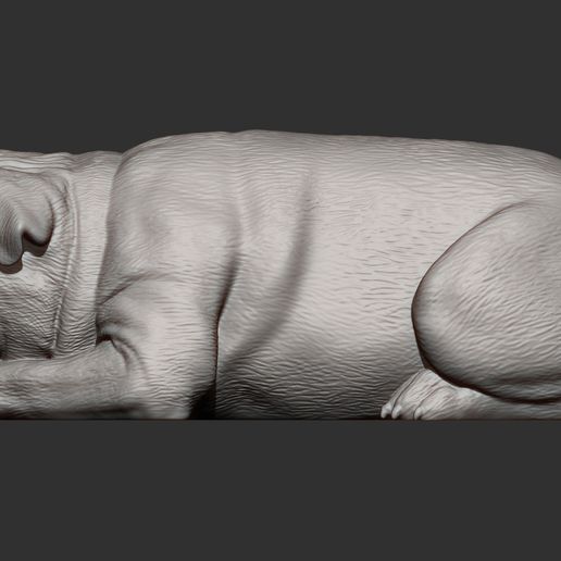 pug-for-3d-printing-3d-model-2ab14af153.jpg pug is sleeping 3D print model