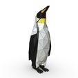 8.jpg king penguin