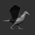 seagull-on-the-stone16.jpg Seagull on the stone 3D print model