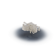 untitled4.png M19