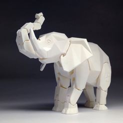 e001.jpg Éléphant vierge