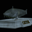 Catfish-statue-6.png fish wels catfish / Silurus glanis statue detailed texture for 3d printing